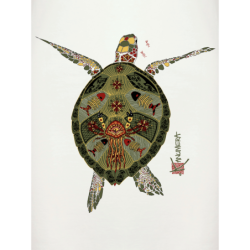 T-shirt Origine long femme La Tortue