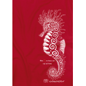 (New) Polo homme Maille Piqu (New) Polo homme Maille Piqu