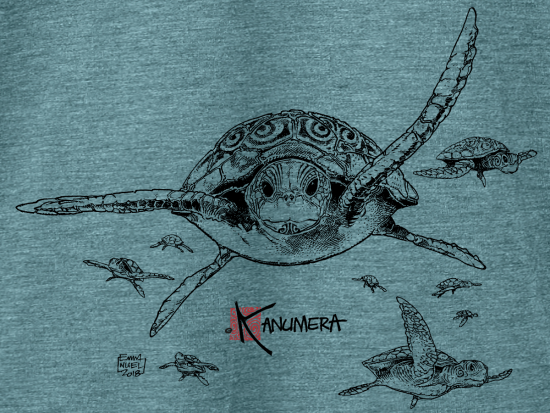 T-shirt Fluide à manches roulottées Les Tortues