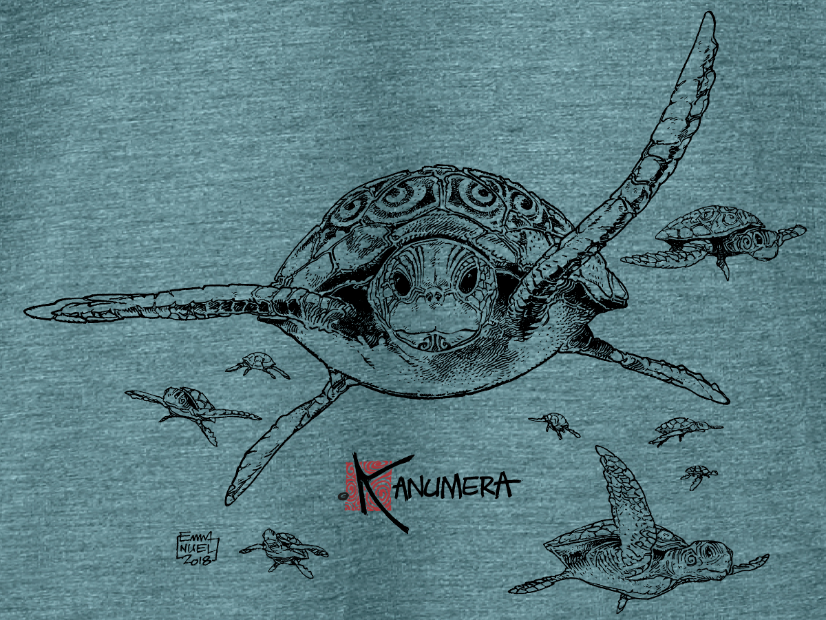 Turtles Ladies' flowy rolled-cuff T-shirt