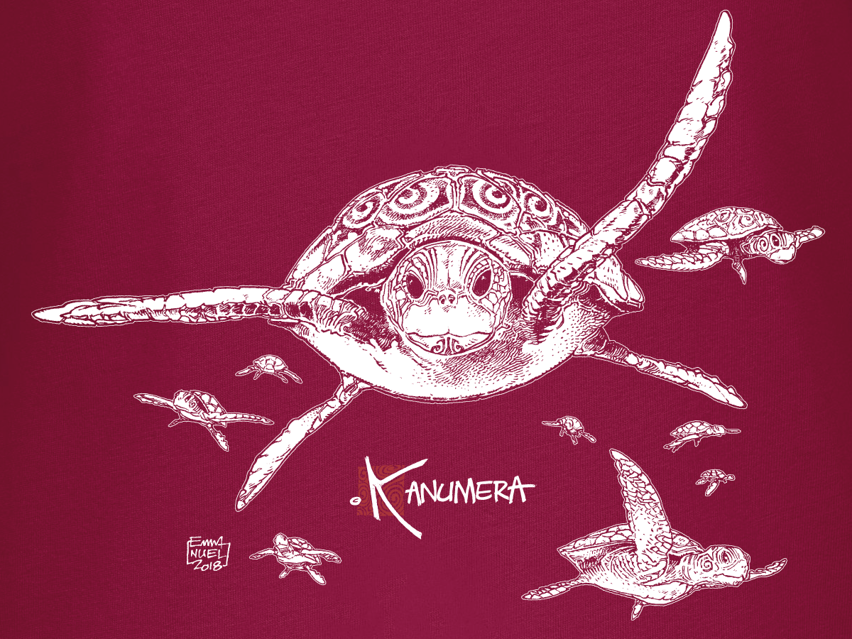 T-shirt Bio Femme Les Tortues