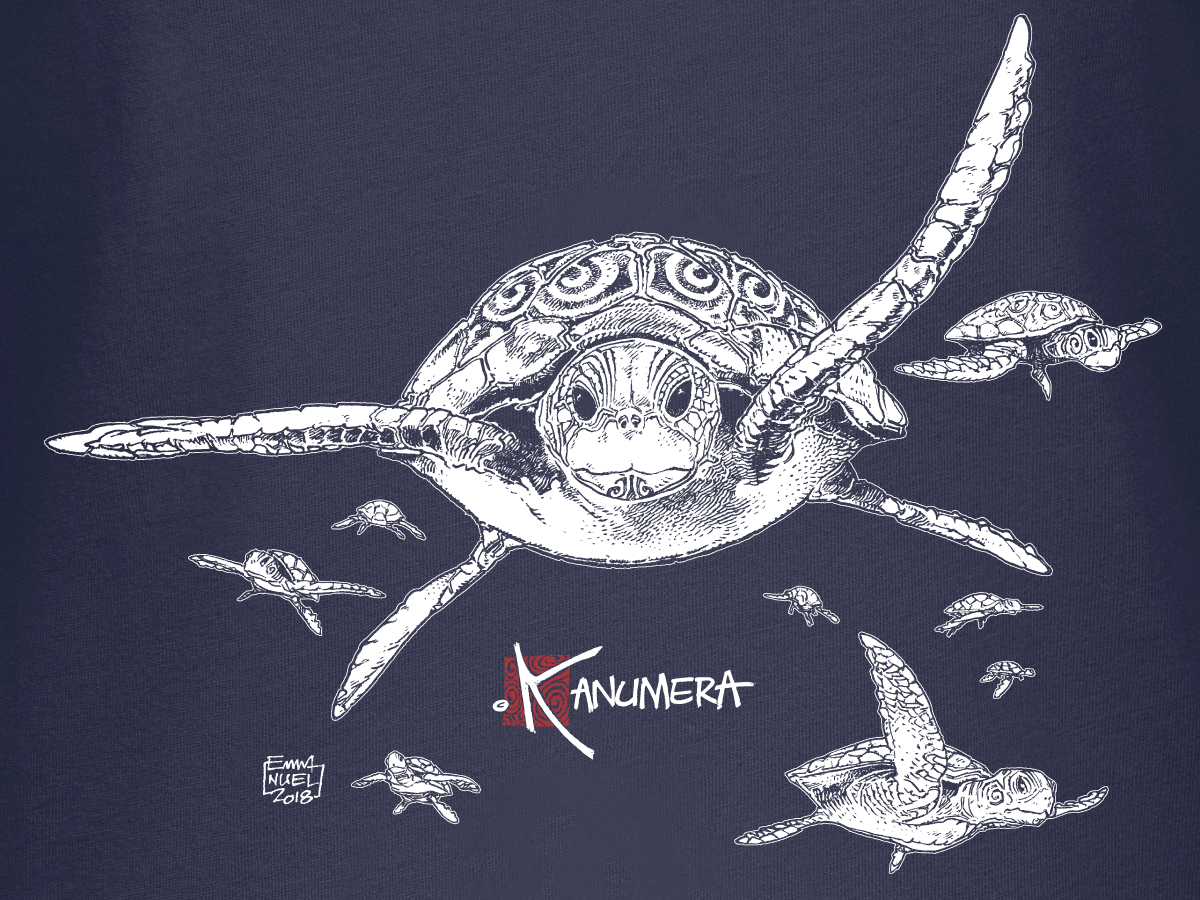 Turtles Ladies’ organic cotton crew neck T-shirt