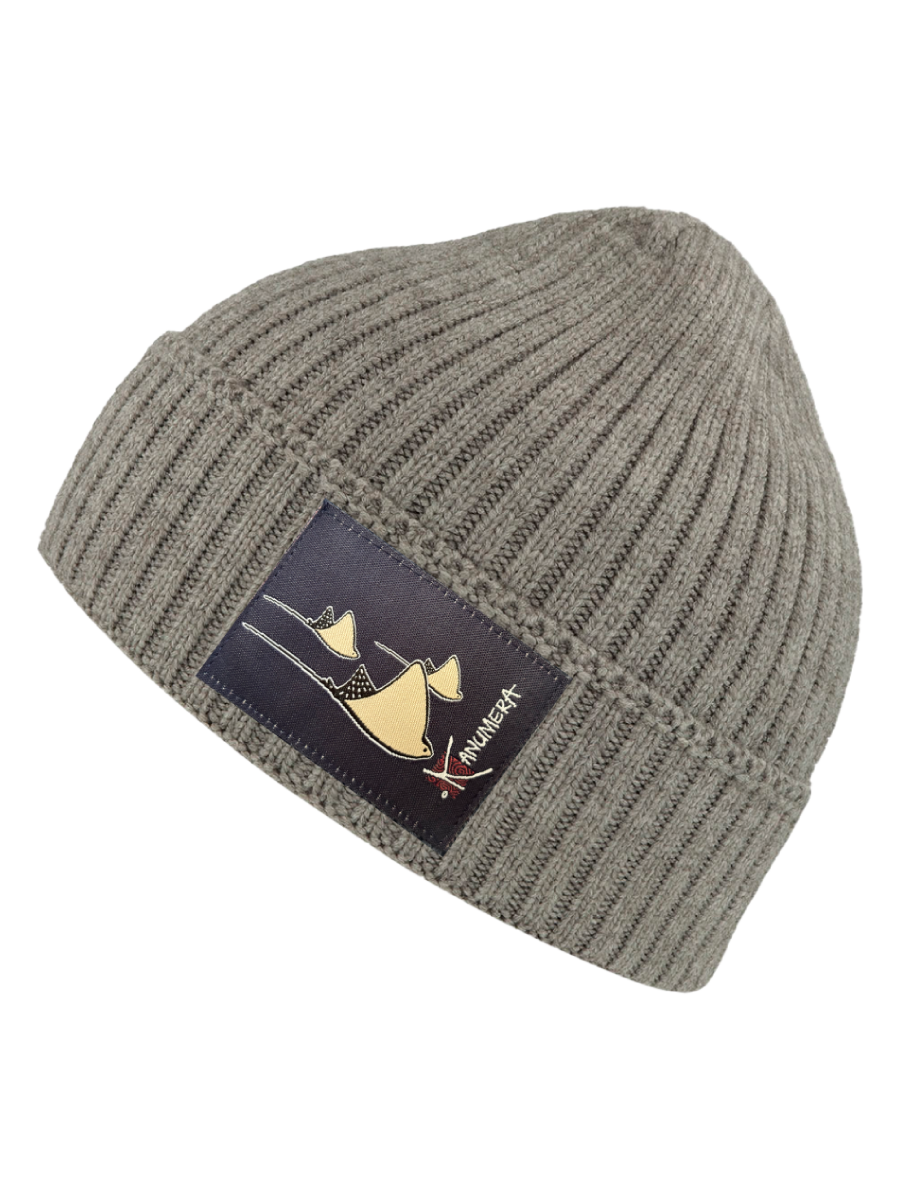 Rays winter Beanie