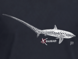 Thresher Shark Adult Organic T-Shirt