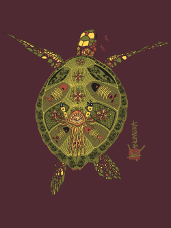 T-shirt bio Origine Femme La Tortue