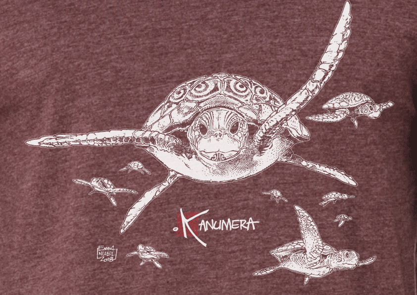 Turtles Men's organic cotton crew neck T-shirt