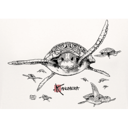 T-shirt Bio Les Tortues