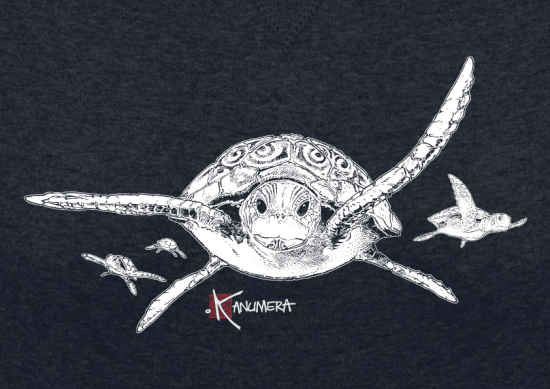 Turtles Ladies’ organic cotton crew neck raglan sleeve sweatshirt