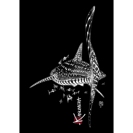 Robe sans manches Le Requin Baleine