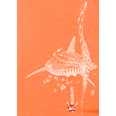 Tee-shirt Femme 3 matières Le Requin Baleine