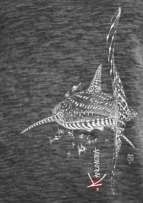Whale Shark Ladies' Slub-Top
