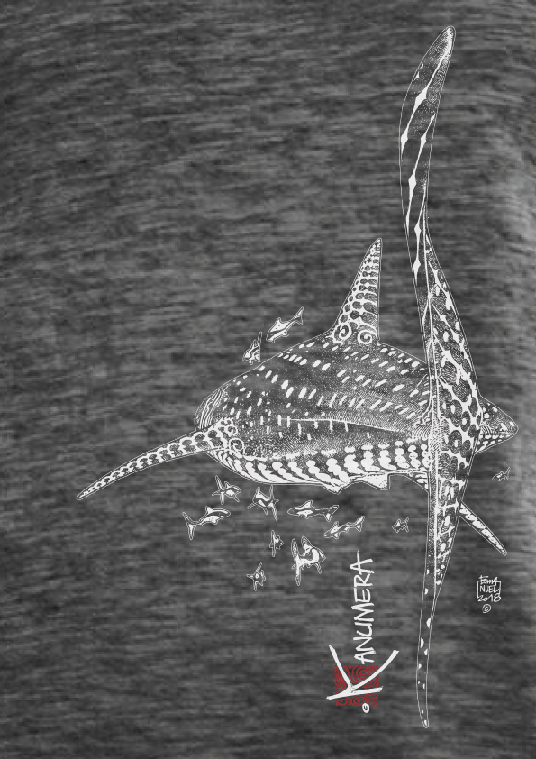 Whale Shark Ladies' Slub-Top