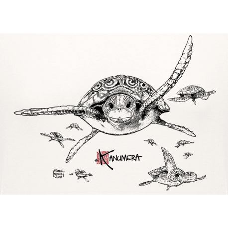 (New) Tee-shirt moulant Femme Le Requin Tatoo (Impression Poitrine)