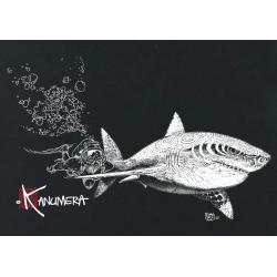Tee-shirt Bio Femme Le Requin Blanc et la Plongeuse 2
