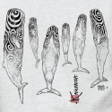 Sperm Whales Adult T-Shirt Sperm Whales Adult T-Shirt