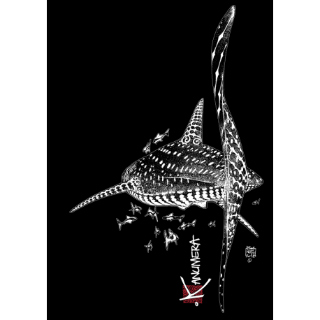 Débardeur Fluide Fendu Le Requin Baleine