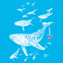 Tee-shirt Bio Le Champ des Baleines Tee-shirt Bio Le Champ des Baleines