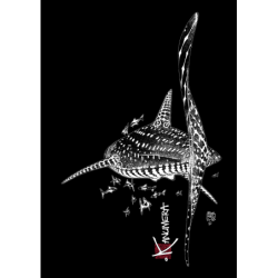 Whale Shark Ladies Dress