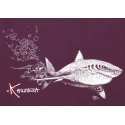 White Shark and Diver kid's T-shirt White Shark and Diver kid's T-shirt