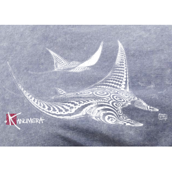 Rays demim effect T-shirt 2