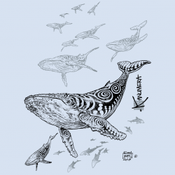 Poncho Microfibre Petit Modèle Les Baleines 2