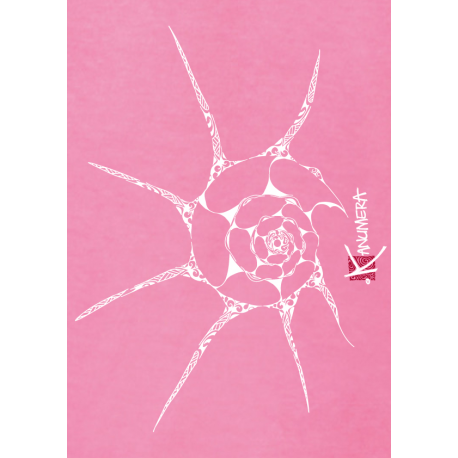 Tee-shirt Bio Loose Femme Le Coquillage