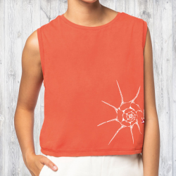 Tee-shirt Bio Crop Le Coquillage