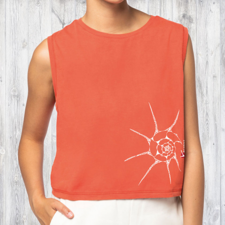 Shell Ladie's sleeveless cropped t-shirt