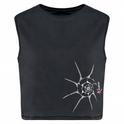 Tee-shirt Bio Crop Le Coquillage 2