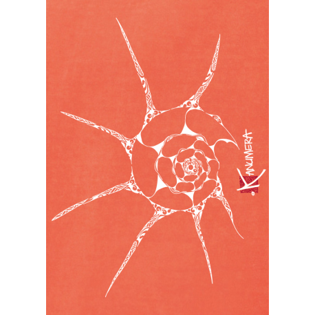 Shell Ladie's sleeveless cropped t-shirt