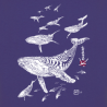 Tee-shirt Bio Le Champ des Baleines