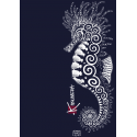 Seahorse Ladies' oversized sweatshirt Seahorse Ladies' oversized sweatshirt