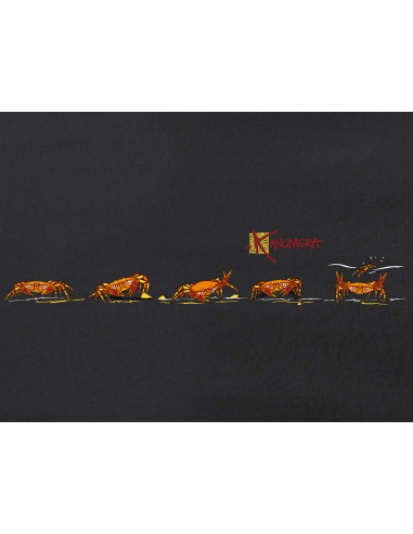 T-shirt Origine Le Haka des Crabes