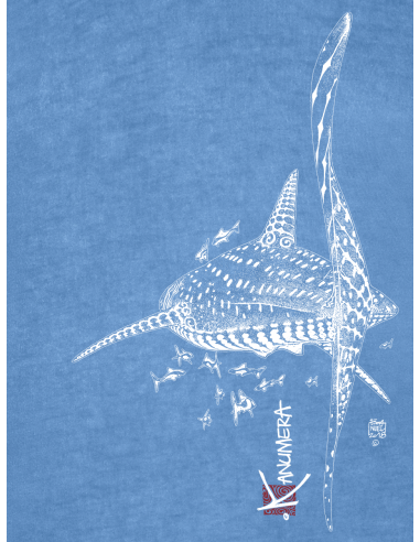 T-shirt délavé Femme Le Requin Baleine