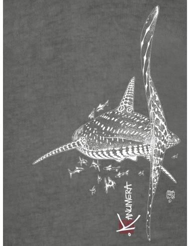 T-shirt délavé Femme Le Requin Baleine