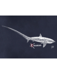 Thresher Shark  Ladies T-shirt 2