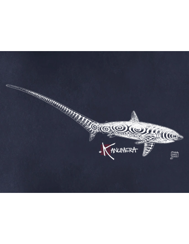 Thresher Shark  Ladies T-shirt