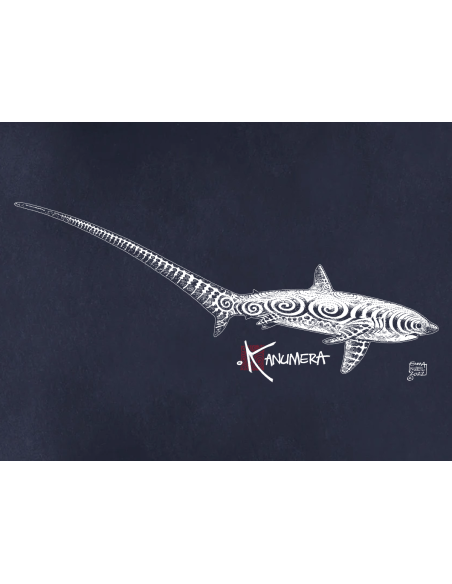 Thresher Shark  Ladies T-shirt