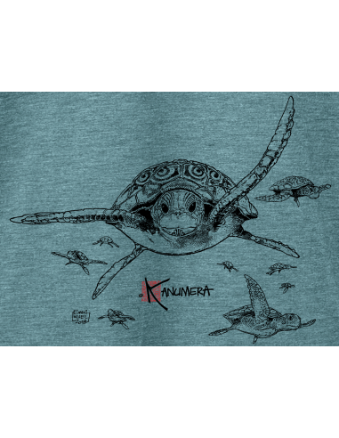 Turtles Ladies' flowy rolled-cuff T-shirt