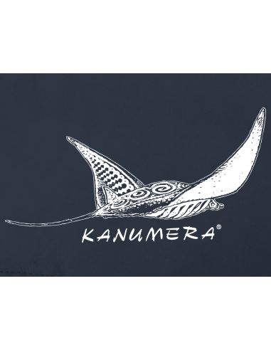 Bermuda Chino La Raie