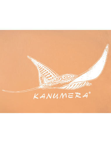 Bermuda Chino La Raie