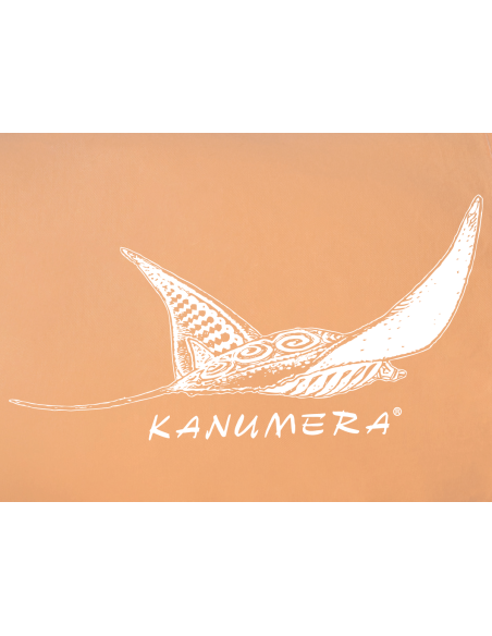 Bermuda Chino La Raie