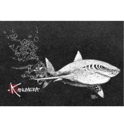 T-shirt délavé Le Requin Blanc et le Plongeur