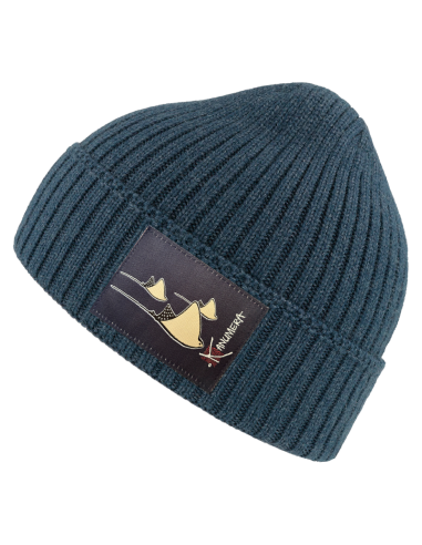 Rays winter Beanie