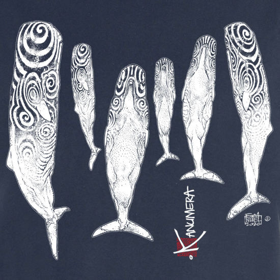 Sperm Whales Ladies T-shirt