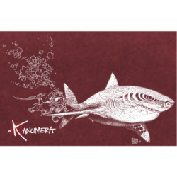 T-shirt délavé Le Requin Blanc et le Plongeur