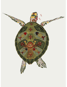 Turtle Ladies' oversized sweatshirt 2