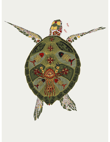 Turtle Ladies' oversized sweatshirt