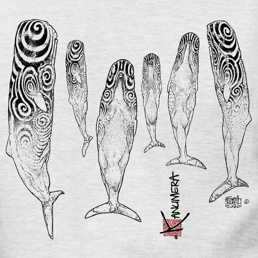Sperm Whales Ladies T-shirt