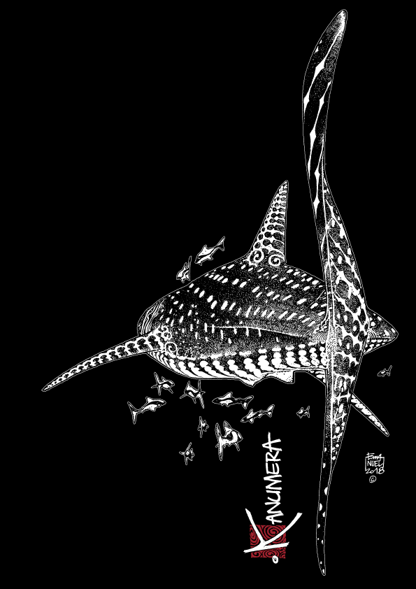 Whale Shark Women's Flowy Side Slit Tank